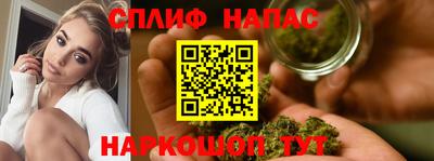 стафф Новозыбков