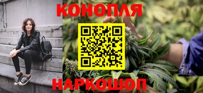 стафф Новозыбков