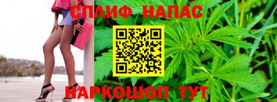 гашик Новодвинск